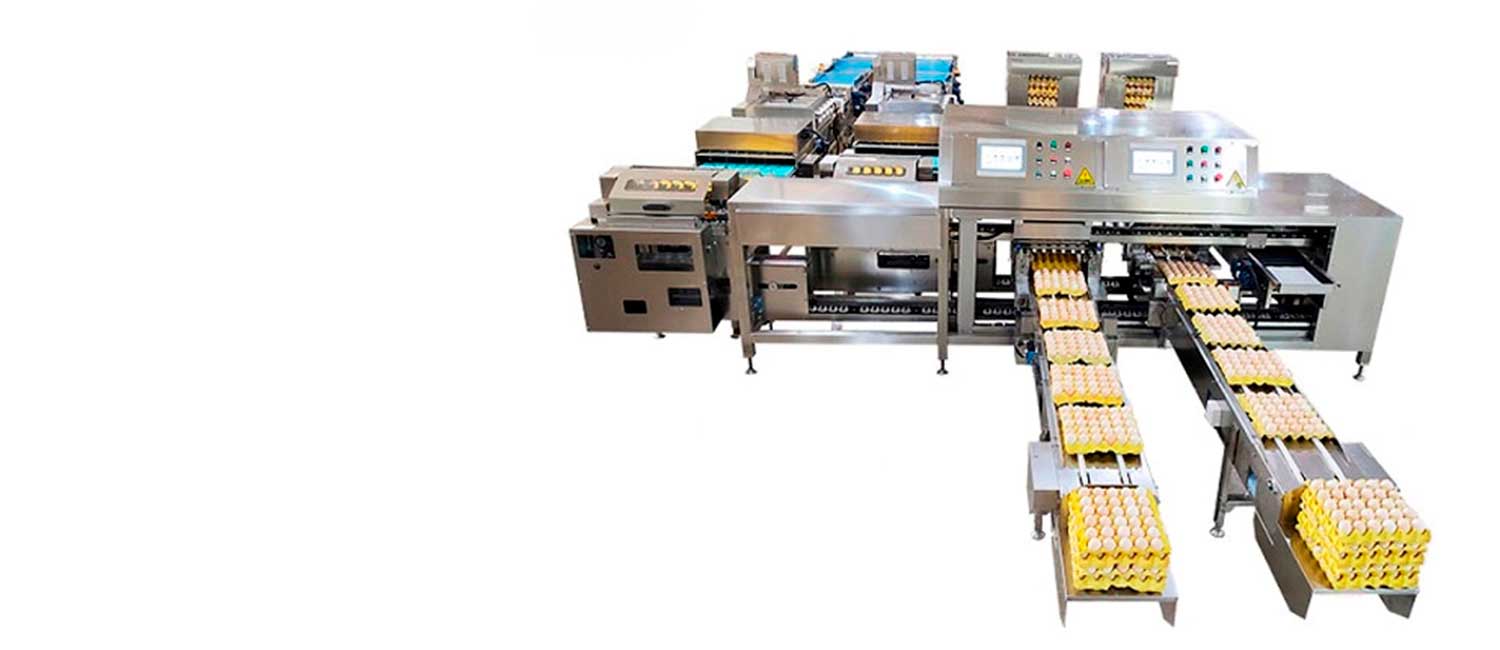 Farm Packer ZENYER — empaque de huevos en el gallinero