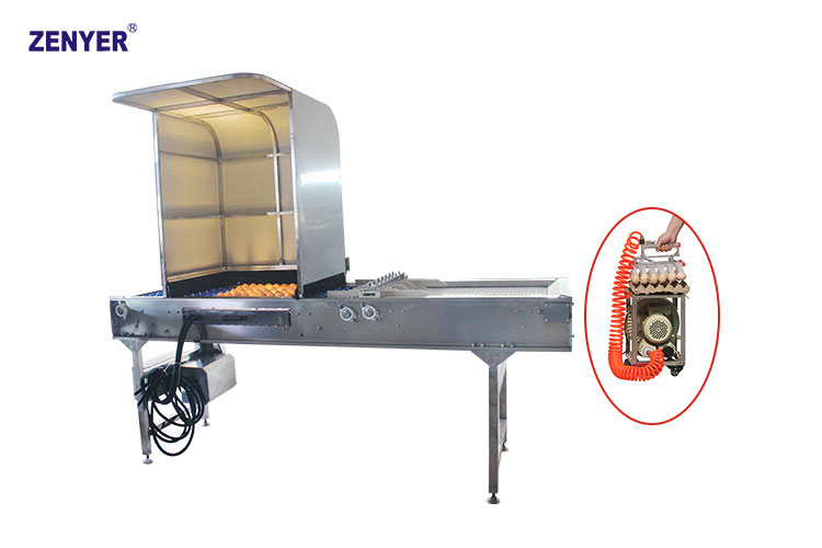 Transportador de almacenamiento con ovoscopio LED ZYS-DS60/240 (605A)