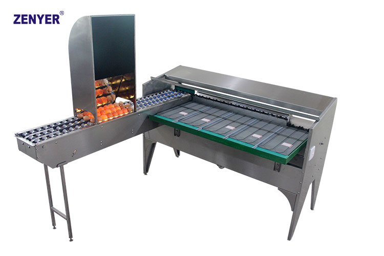 Máquina de clasificación de huevos ZYF-J3L(R) (102B)