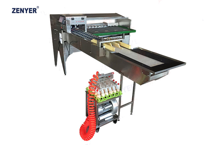 Máquina de clasificación de huevos ZYF-JS3-L (102BS)