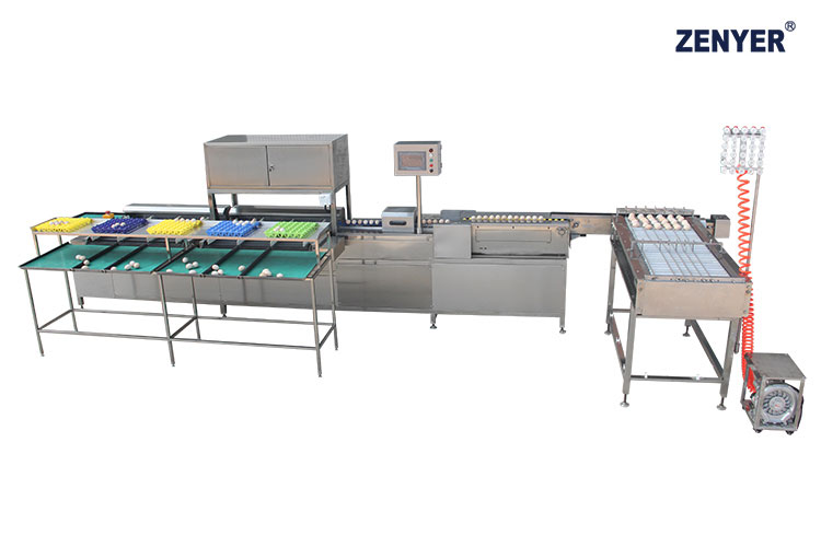 Máquina de clasificación de huevos FXB10 (104B)