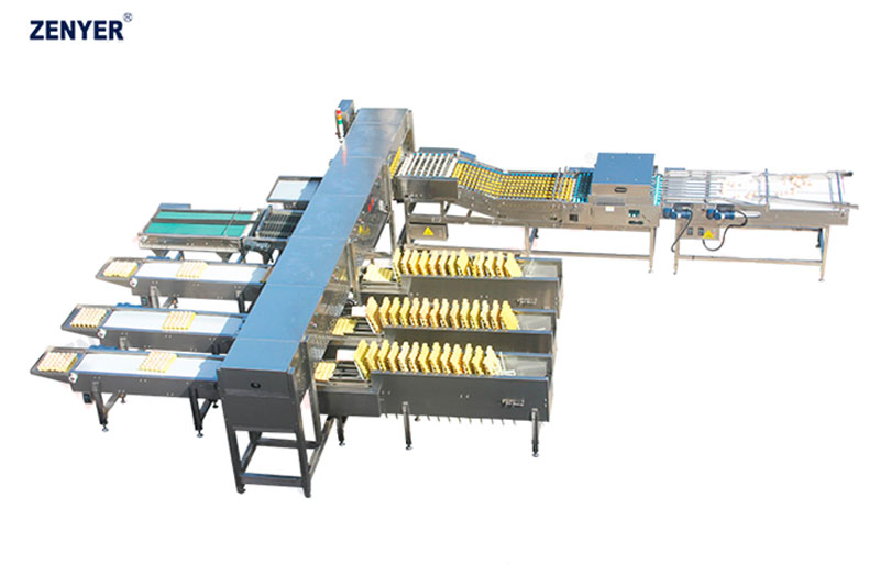 Máquina de clasificación de huevos FBC20-3  (107)