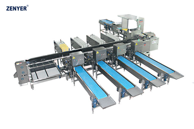 Máquina de clasificación de huevos FBD30-4  (109)