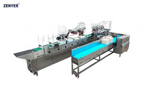 Cargador automático de huevos ZYS-ZK-2J30 (615A)