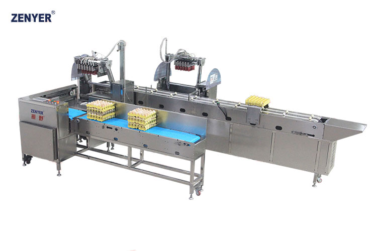 Cargador automático de huevos ZYS-ZK-J30 (615)