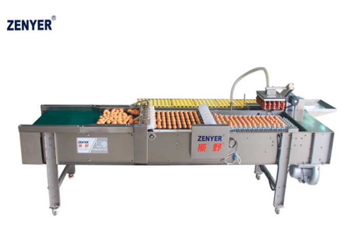 Línea de envasado automático Farm Packer
 FBD170 (711A)