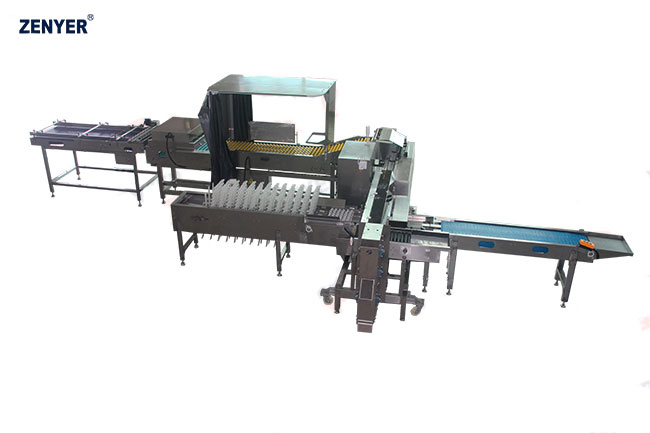 Línea de envasado automático Farm Packer ZYZ-HD6 (713A)