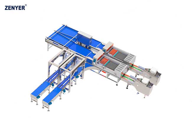 Línea de envasado automático Farm Packer
 XBF-60 (714B)